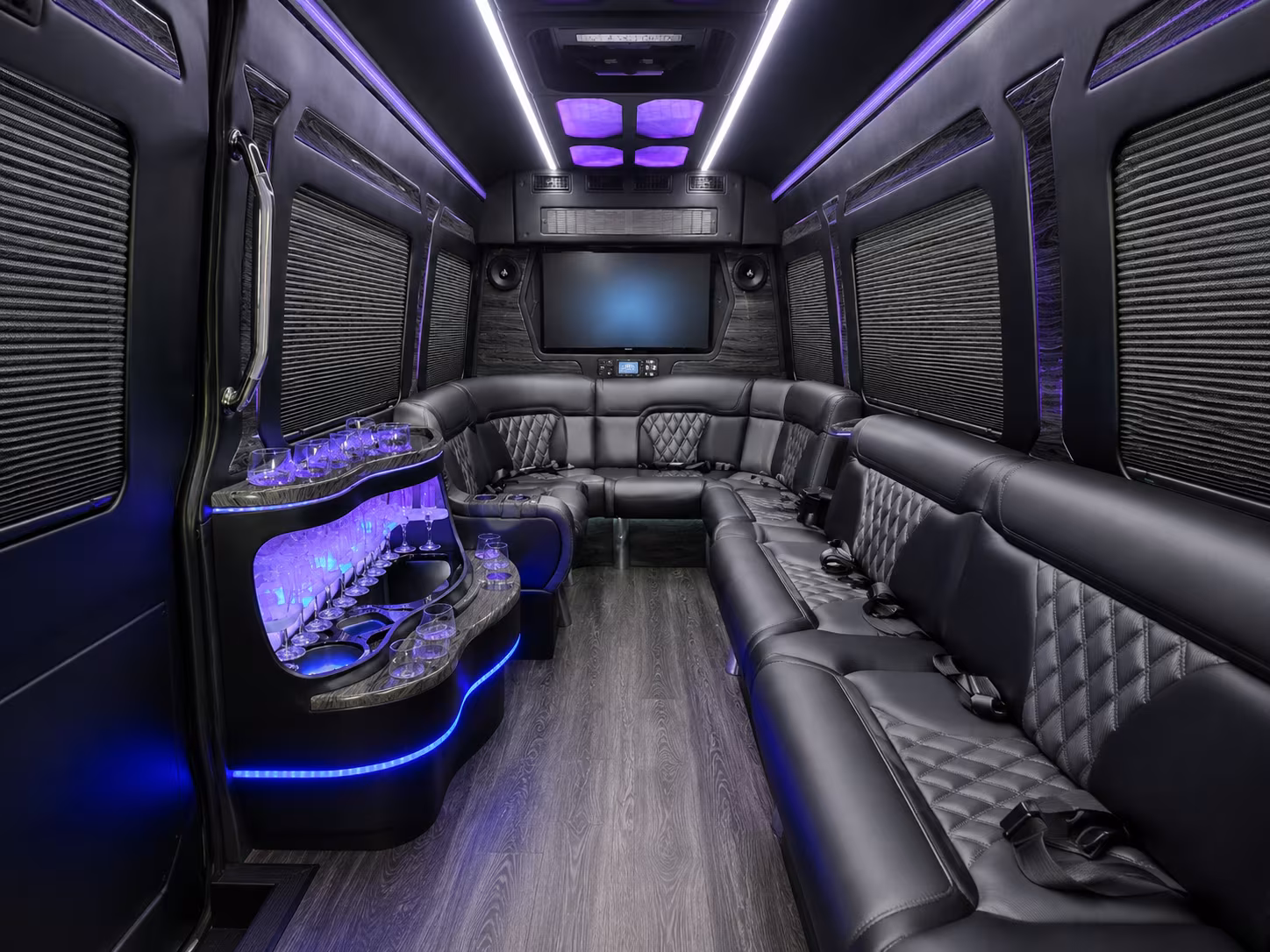 alexandria 30 passenger party bus interior