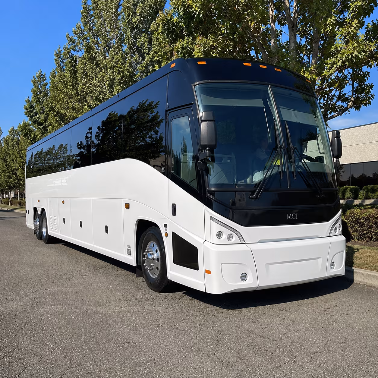 alexandria 56 passenger charter bus