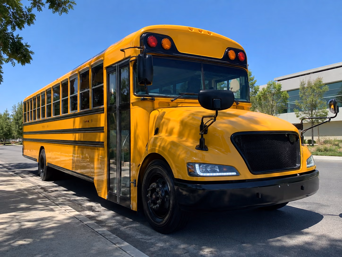alexandria school bus