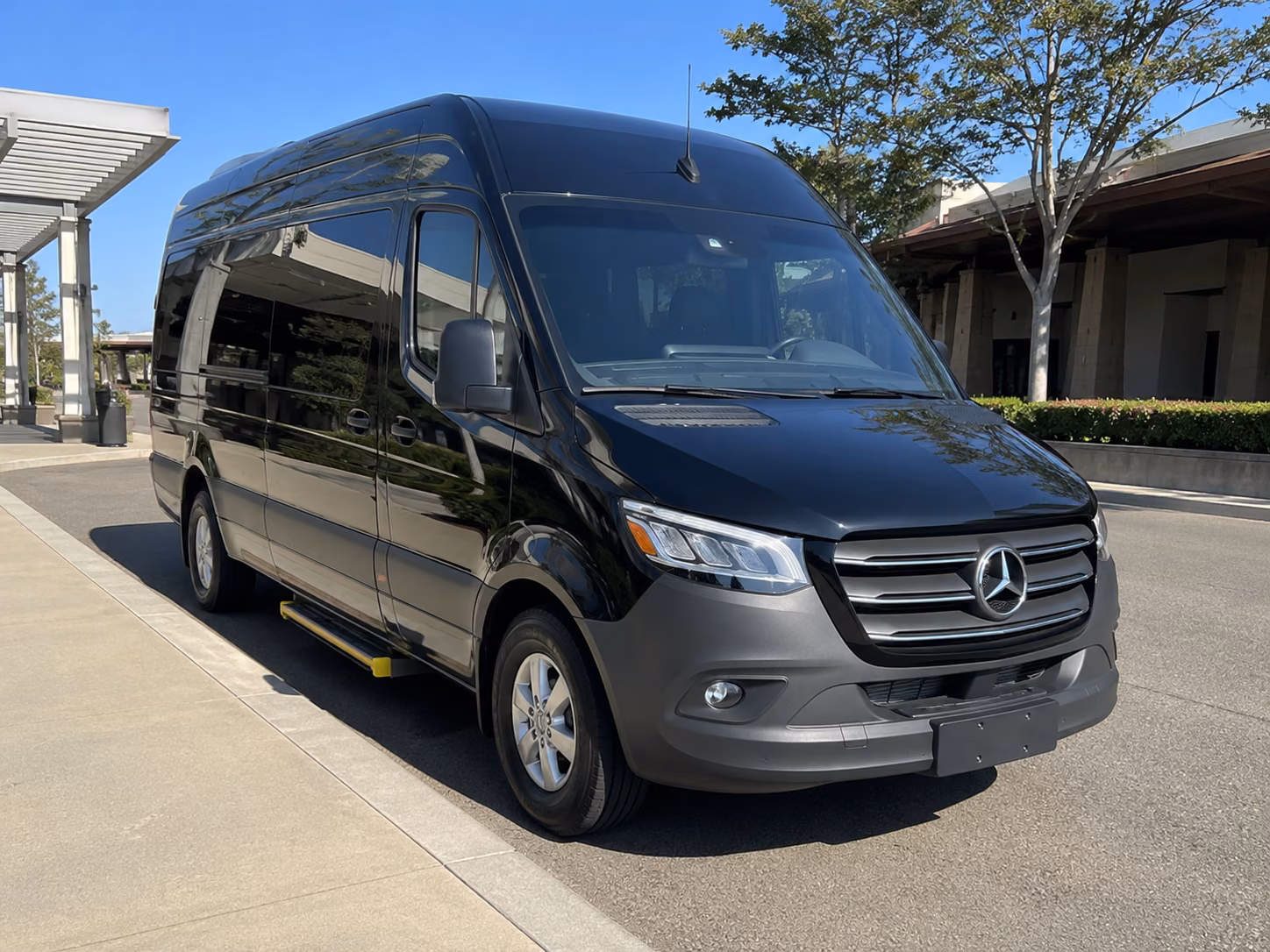 alexandria sprinter van with driver